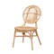 Baxton Studio Iris Modern Bohemian Natural Brown Rattan Dining Chair 234-13345-ZORO - alternate 1